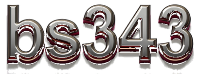 bs343 logo